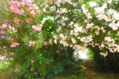 Villa T5+Jardin, 225000€, Rodilhan, 128m²