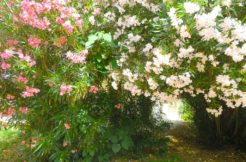 Villa T5+Jardin, 225000€, Rodilhan, 128m²