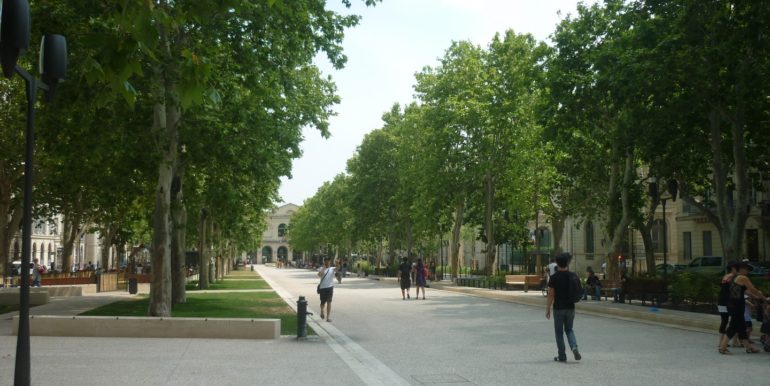 22 (Copier)