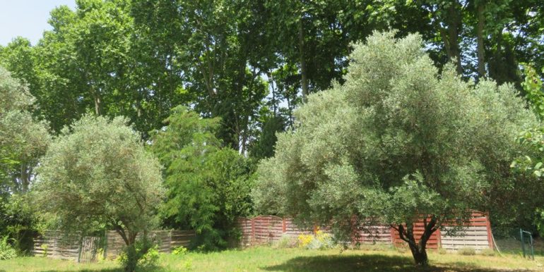 66 (Copy)